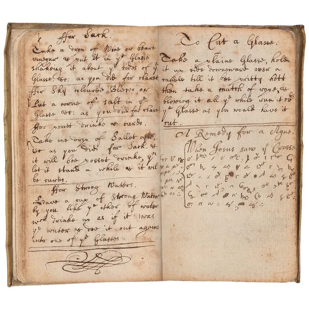 Newton&#x27;s Memorandum Book